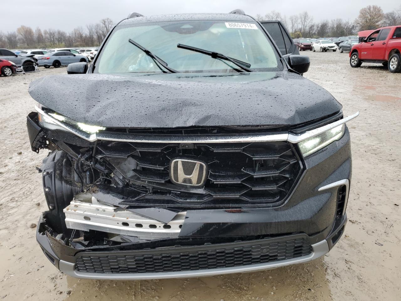 2023 HONDA PILOT ELITE VIN:5FNYG1H82PB042003