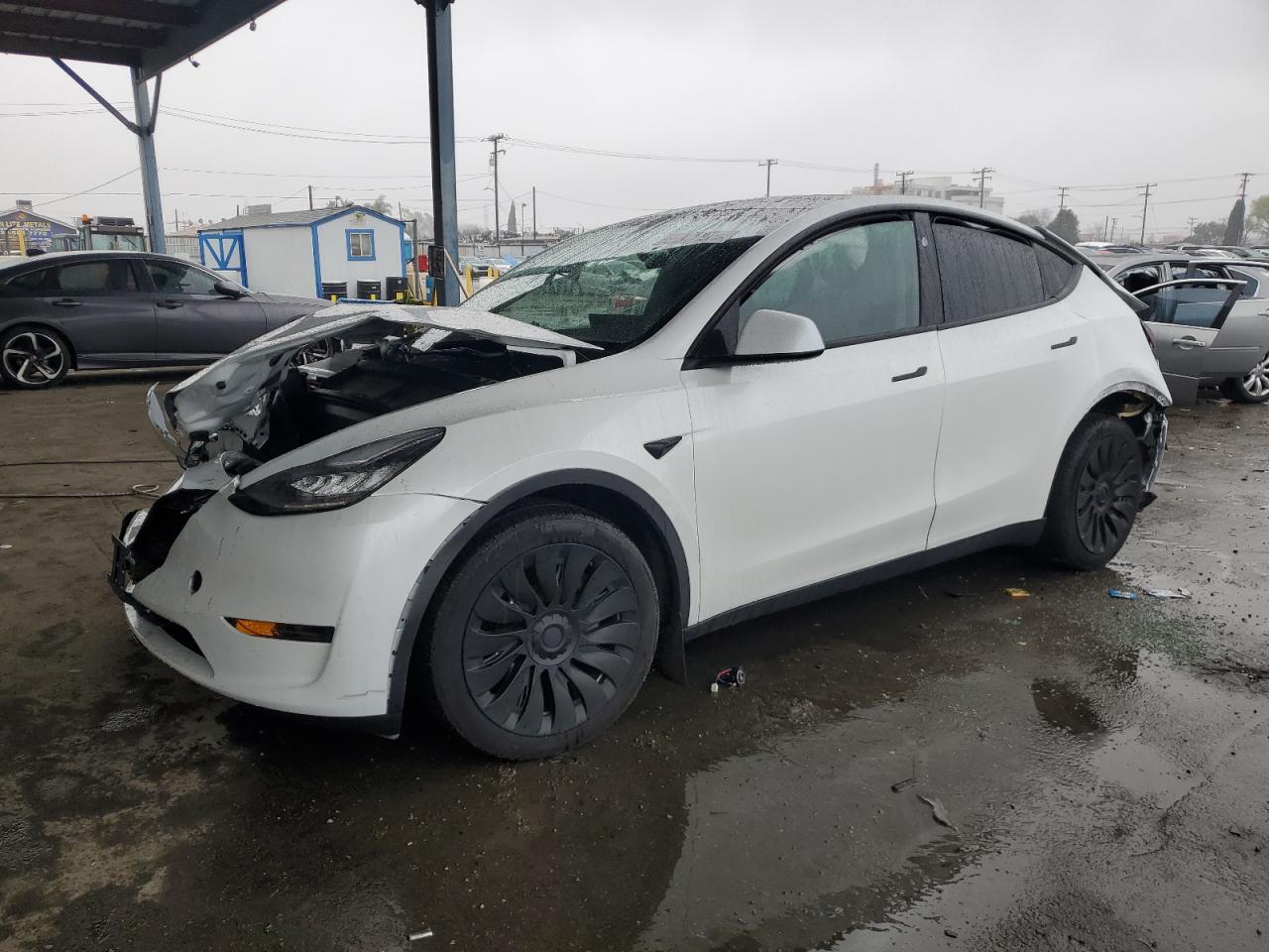 2023 TESLA MODEL Y  VIN:7SAYGDEE1PA131217