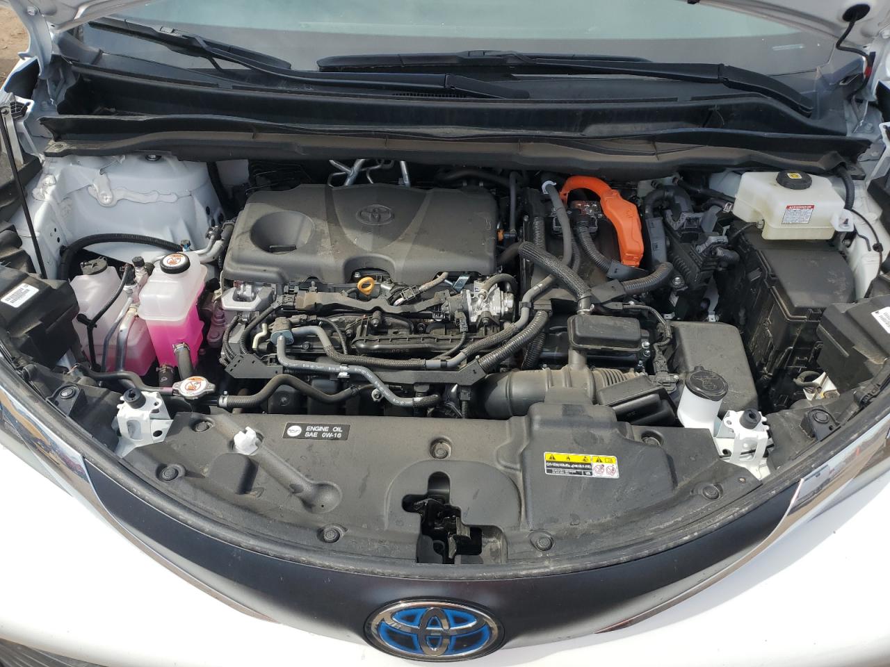 2023 TOYOTA SIENNA LE VIN:5TDKSKFC9PS099277