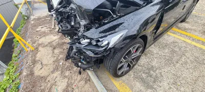 2020 Kia Stinger KNAE351ABLS079865 VIN:KNAE351ABLS079865