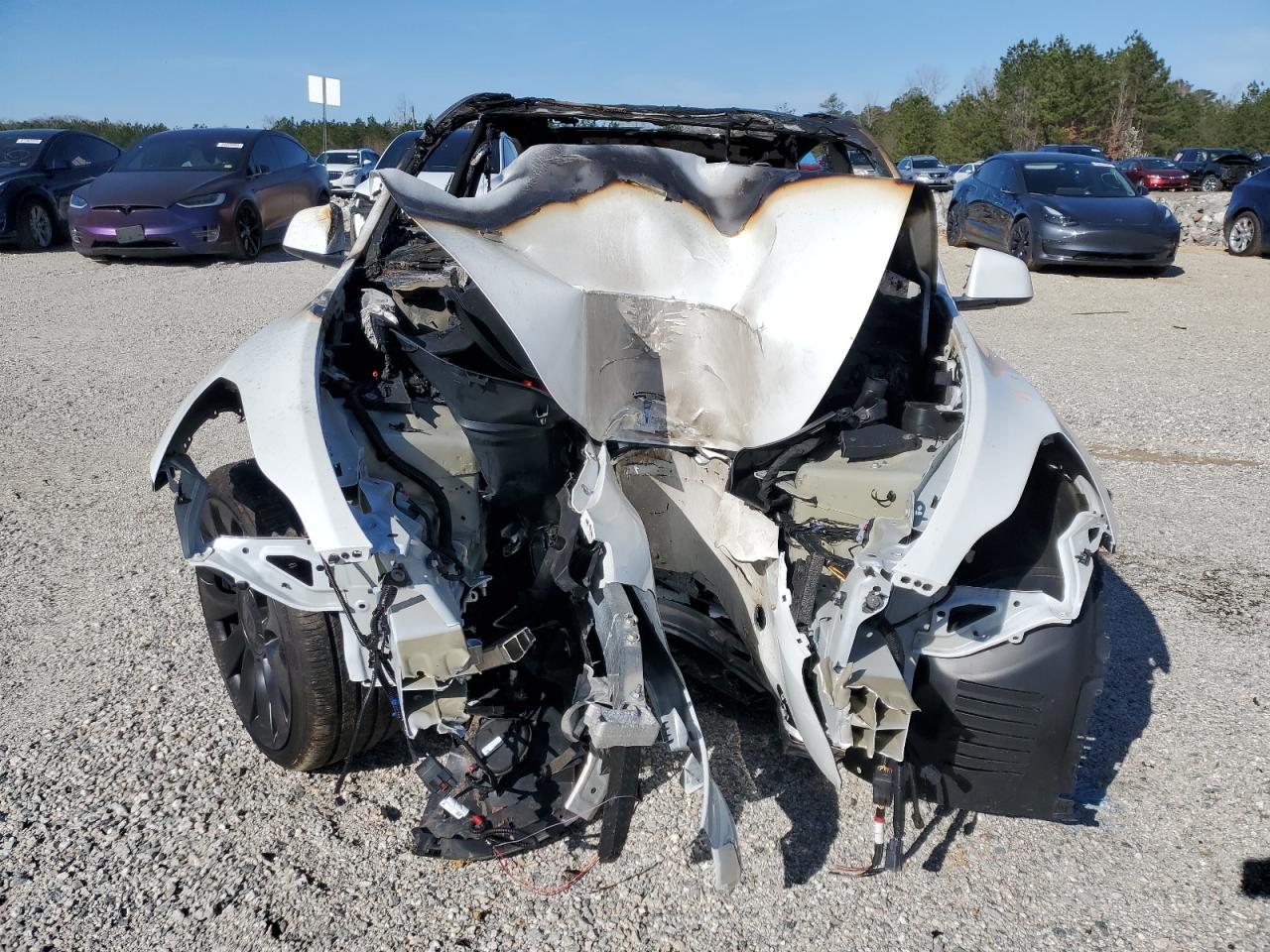 2024 TESLA MODEL Y  VIN:7SAYGDEF5RF183755