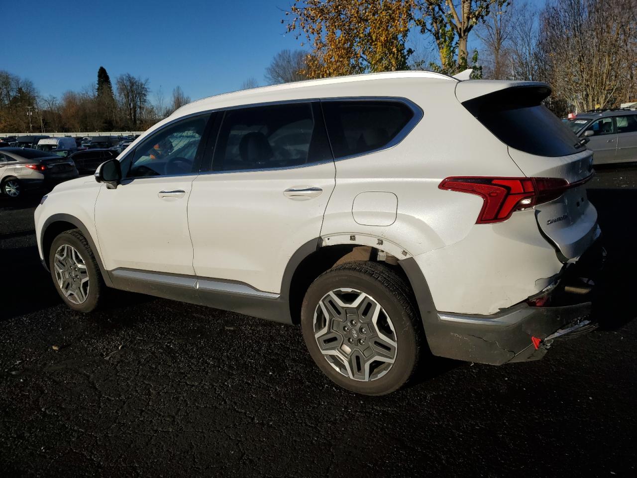 2022 HYUNDAI SANTA FE LIMITED VIN:5NMS4DAL2NH455565