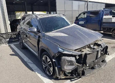 2019 Hyundai Santa FE KMHS381BDKU173046 VIN:KMHS381BDKU173046
