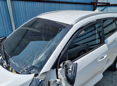 2020 Hyundai Tucson KMHJ3812GLU356090 VIN:KMHJ3812GLU356090