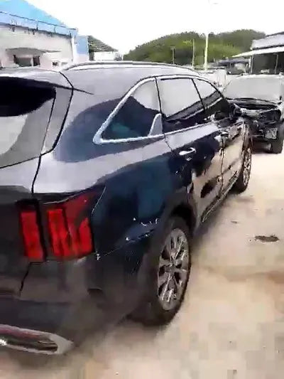 2020 Kia Sorento KNARH81BGMA053875 VIN:KNARH81BGMA053875