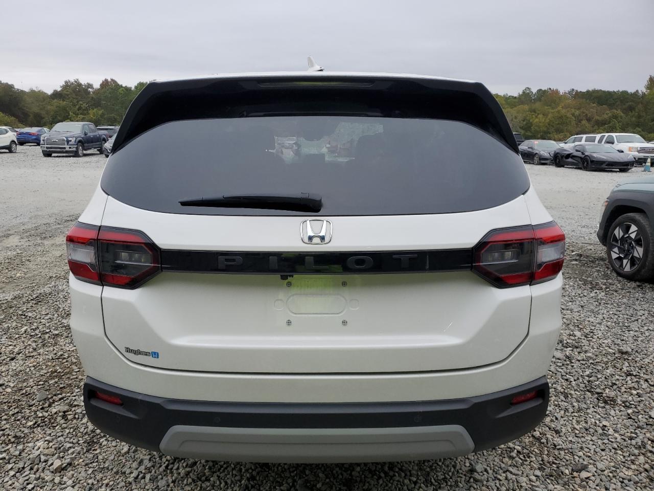 2023 HONDA PILOT EXL VIN:5FNYG2H41PB012669