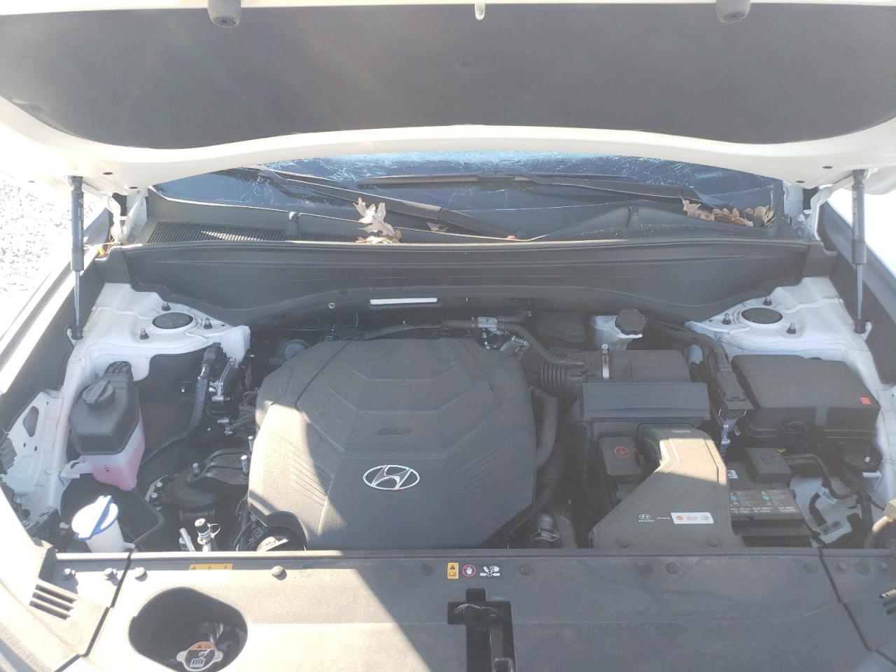 2024 HYUNDAI PALISADE LIMITED VIN:KM8R54GE9RU726412