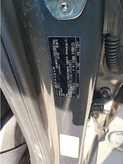 2020 Hyundai Kona KMHK381EGLU009951 VIN:KMHK381EGLU009951