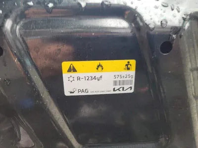 2021 Kia Sorento KNARK81BHNA116251 VIN:KNARK81BHNA116251