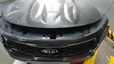 2020 Kia Sorento KNARG81BGMA017381 VIN:KNARG81BGMA017381