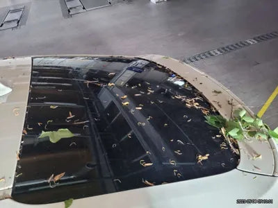 2017 BMW 320 WBA8T3105HG799641 VIN:WBA8T3105HG799641