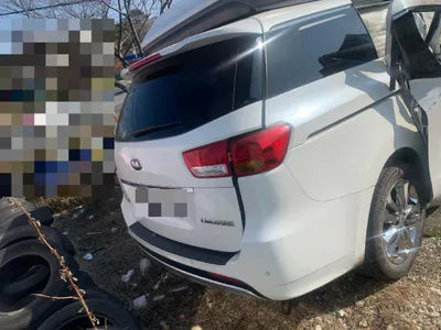 2016 Kia Carnival KNAMC81ABGS198562 VIN:KNAMC81ABGS198562