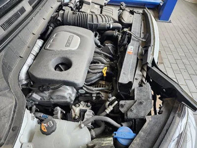 2019 Hyundai Kona KMHK4815GLU492188 VIN:KMHK4815GLU492188