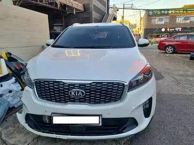 2019 Kia Sorento KNAPS81ABKA475415 VIN:KNAPS81ABKA475415