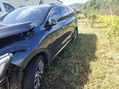 2018 Kia Sorento KNAPS81ABJA463579 VIN:KNAPS81ABJA463579
