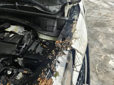 2017 Hyundai Tucson KMHJ2815GHU373740 VIN:KMHJ2815GHU373740