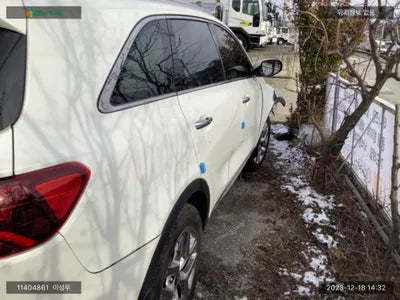 2019 Kia Sorento KNAPK81BBLA565195 VIN:KNAPK81BBLA565195