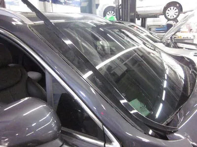 2020 Hyundai Santa FE KMHS381HGMU333983 VIN:KMHS381HGMU333983