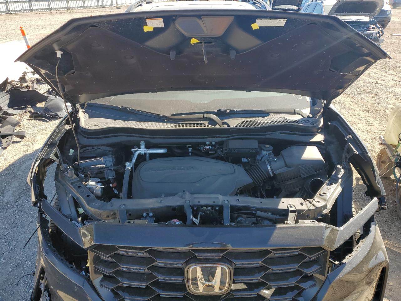 2023 HONDA PASSPORT ELITE VIN:5FNYF8H03PB013776