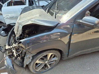 2019 Hyundai Kona KMHK4815GKU409949 VIN:KMHK4815GKU409949