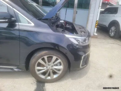 2020 Kia Carnival KNAME811BLS617207 VIN:KNAME811BLS617207