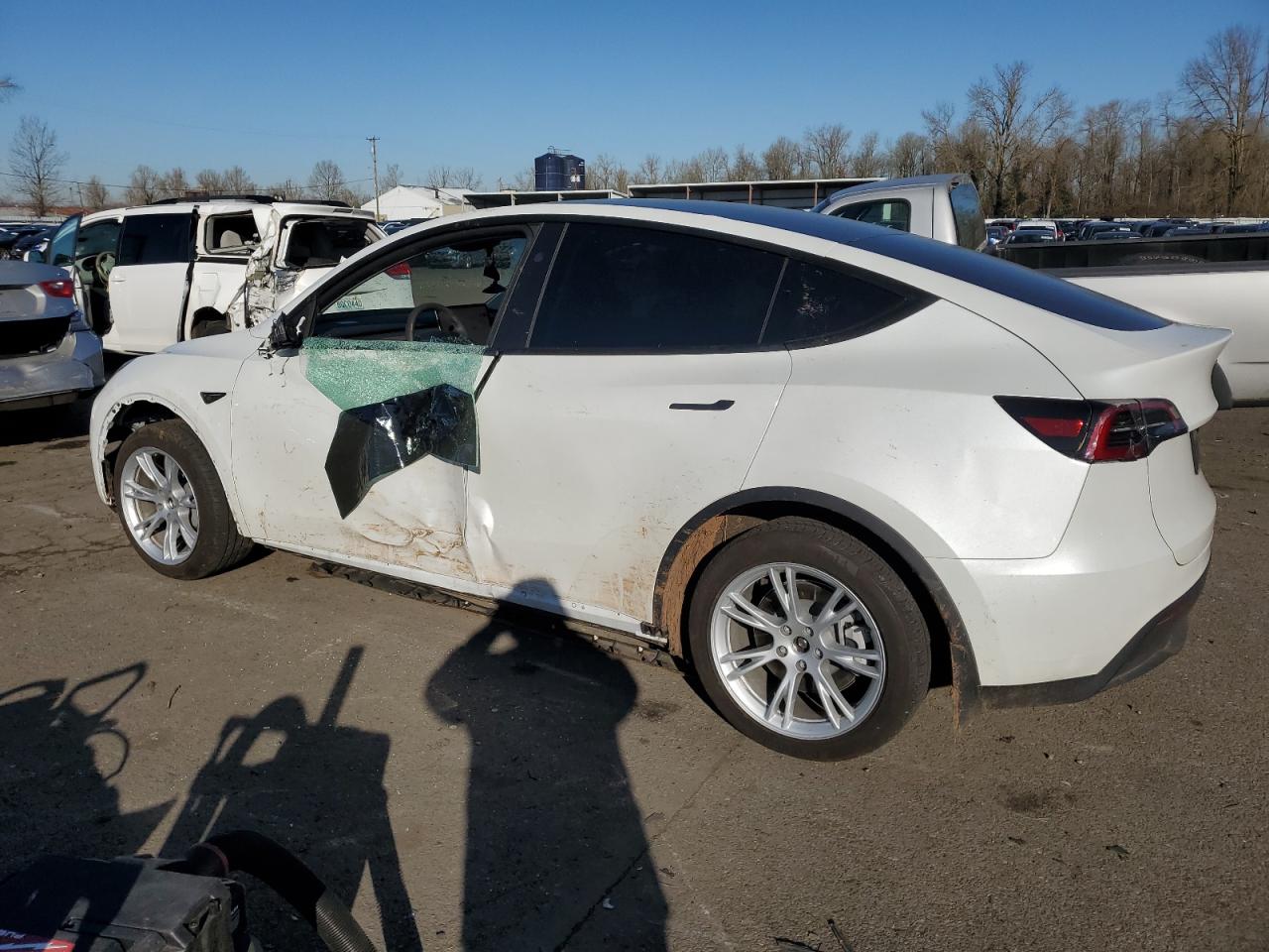 2024 TESLA MODEL Y  VIN:7SAYGDEE0RF044320