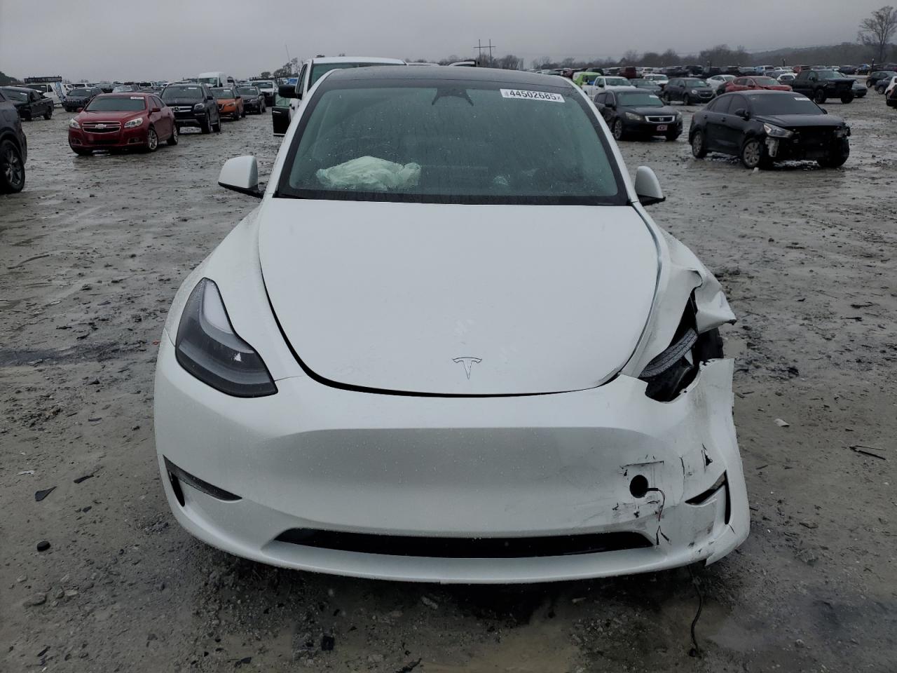 2023 TESLA MODEL Y  VIN:7SAYGDEE6PF704440