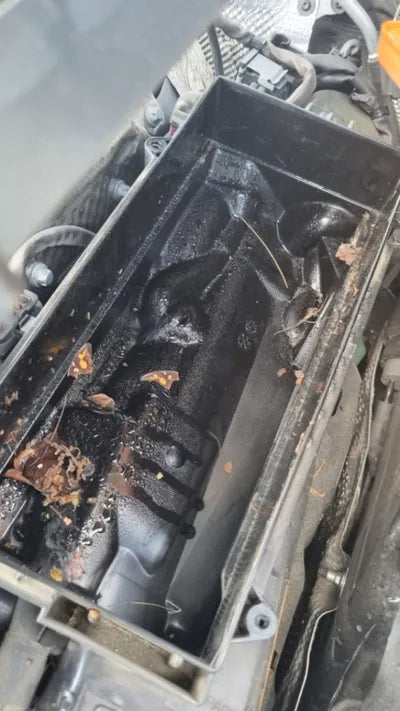 2019 Mercedes-Benz S 560 WDDUG8GB2KA425399 VIN:WDDUG8GB2KA425399