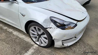 2020 Tesla Model 3 5YJ3E1EB0LF725098 VIN:5YJ3E1EB0LF725098