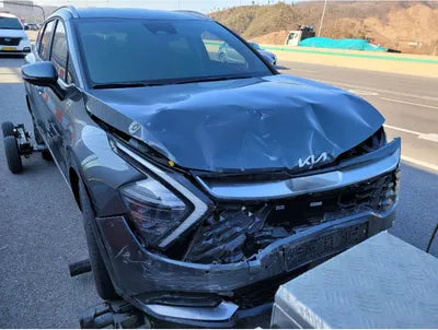 2022 Kia Sportage KNAPV81BGNK028901 VIN:KNAPV81BGNK028901