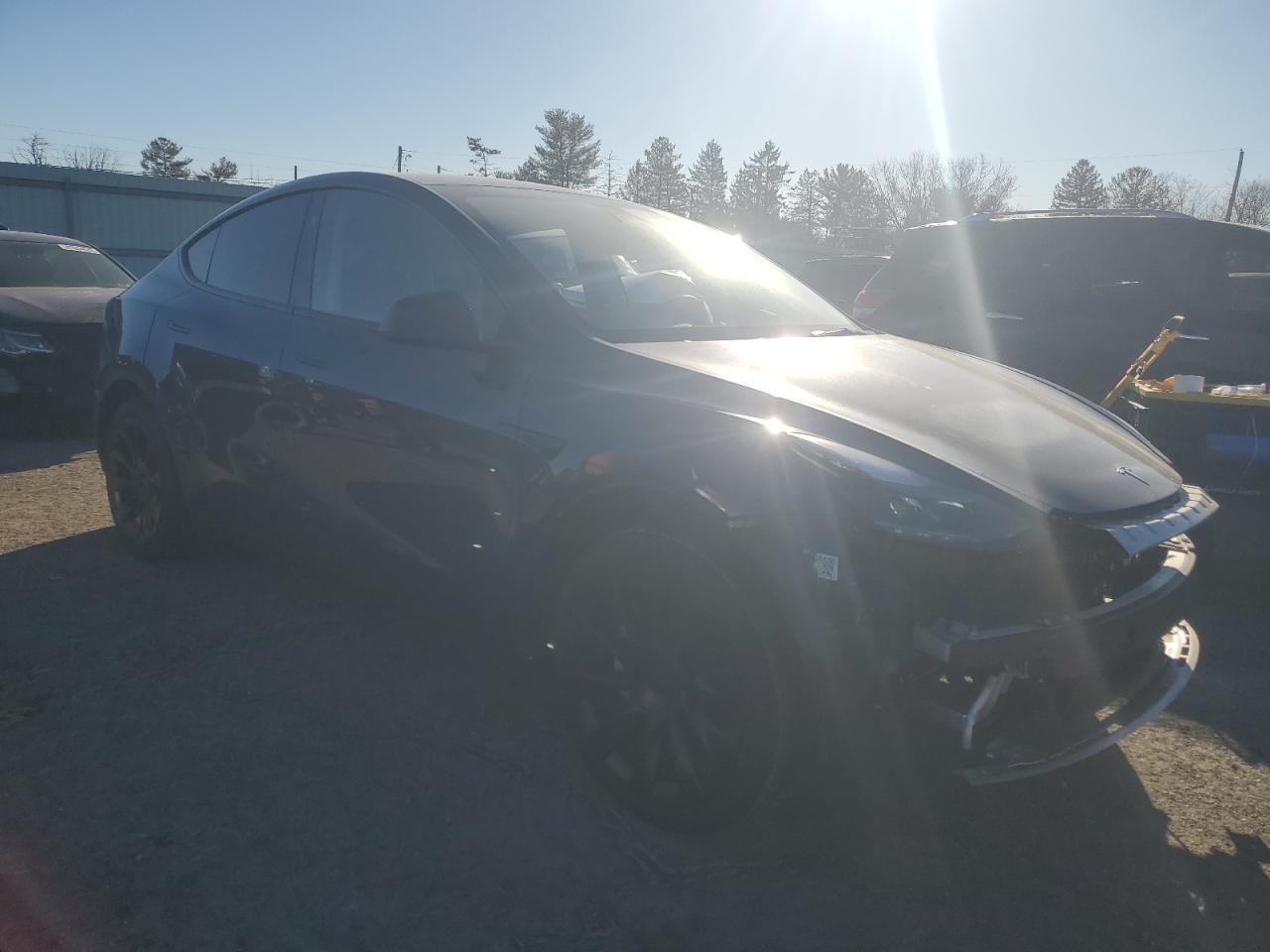 2023 TESLA MODEL Y  VIN:7SAYGDEE0PA196351