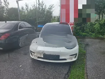 2020 Tesla Model 3 NONE VIN: