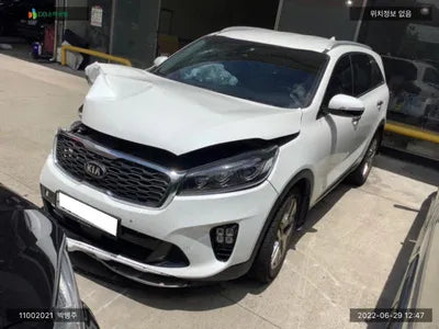 2019 Kia Sorento KNAPH81ABLA602625 VIN:KNAPH81ABLA602625