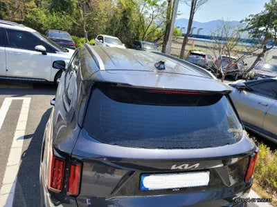 2023 Kia Sorento KNARL81GBPA144089 VIN:KNARL81GBPA144089