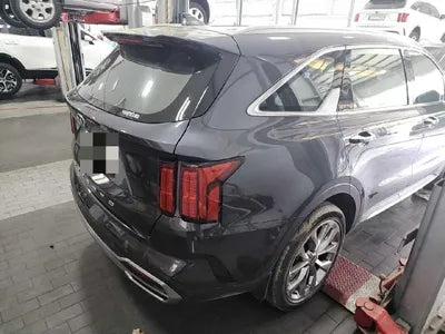 2021 Kia Sorento KNARK81BGMA092596 VIN:KNARK81BGMA092596
