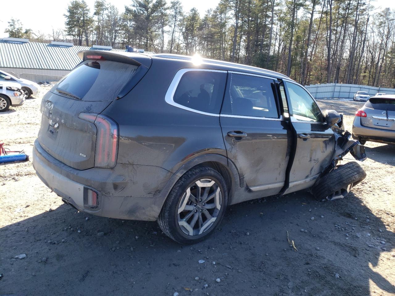 2024 KIA TELLURIDE EX VIN:5XYP3DGC8RG441041