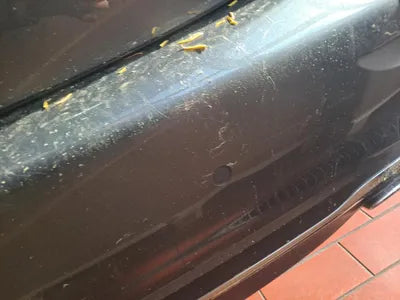 2021 Mercedes-Benz E 300 W1KZF5EB6MA883427 VIN:W1KZF5EB6MA883427