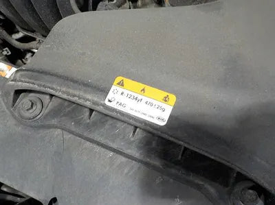 2019 Kia K5 KNAGU411BKA259053 VIN:KNAGU411BKA259053