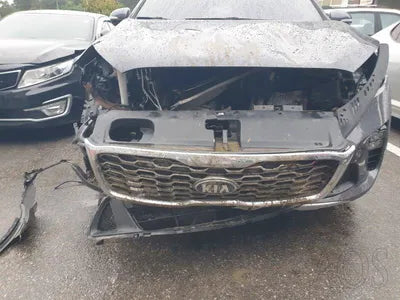 2019 Kia Sorento 187KMKNAPF81BBKA5 VIN:187KMKNAPF81BBKA5