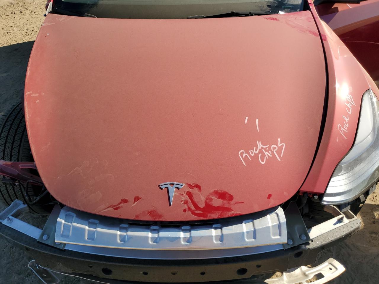 2023 TESLA MODEL Y  VIN:7SAYGDEE5PF779324