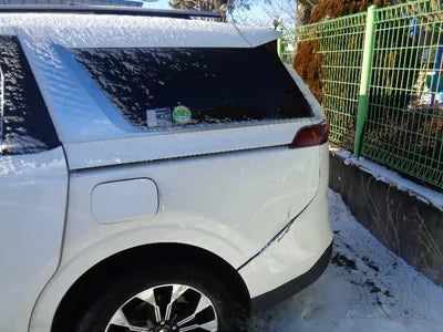 2020 Kia Carnival KNANE81BBMS010172 VIN:KNANE81BBMS010172