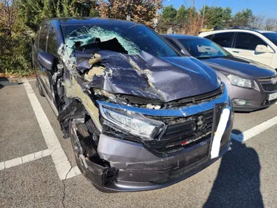 2022 Honda Odyssey 5KBRL6890NB600078 VIN:5KBRL6890NB600078