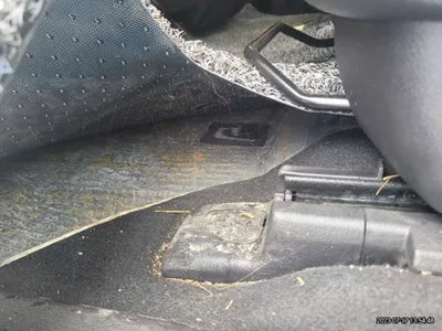 2021 Kia Carnival KNANE81BBMS015422 VIN:KNANE81BBMS015422