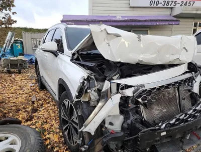 2019 Hyundai Santa FE KMHS381CDKU015039 VIN:KMHS381CDKU015039
