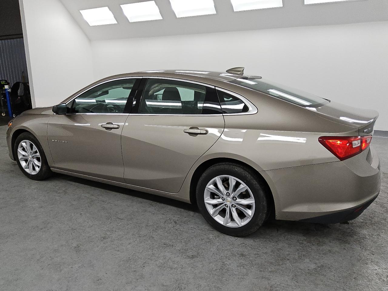 2023 CHEVROLET MALIBU LT VIN:1G1ZD5ST7PF247306