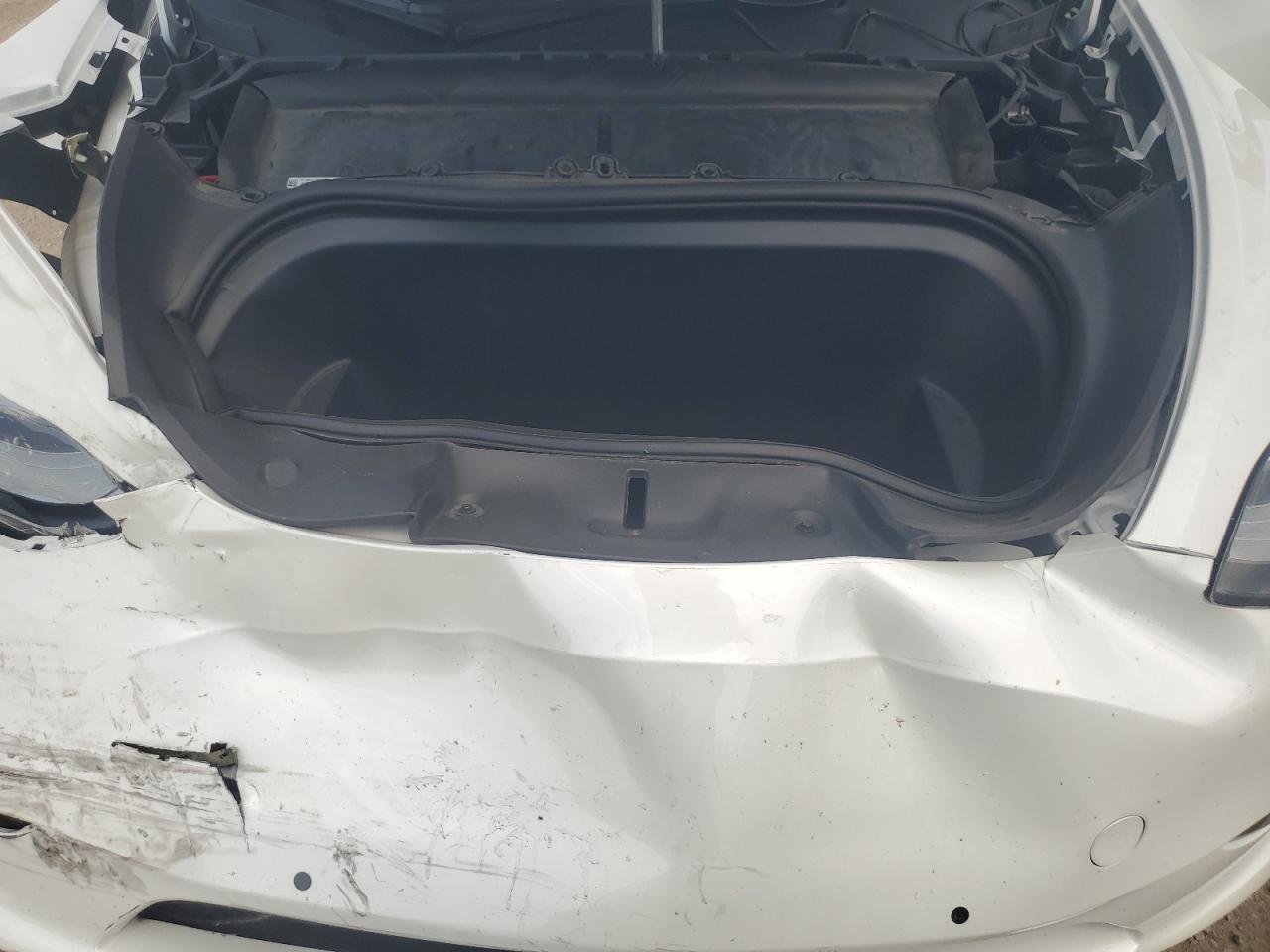 2022 TESLA MODEL Y  VIN:7SAYGDEE2NF407503