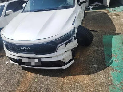 2023 Kia Sorento KNARH81GBPA214993 VIN:KNARH81GBPA214993