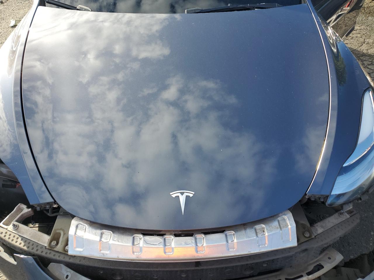 2023 TESLA MODEL Y  VIN:7SAYGDEEXPF598767