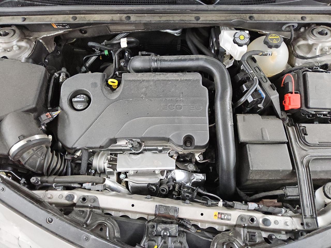 2024 CHEVROLET MALIBU LT VIN:1G1ZD5ST5RF245637