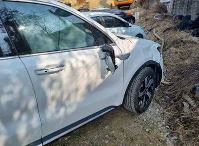 2021 Kia Sorento KNARL81BGMA056006 VIN:KNARL81BGMA056006